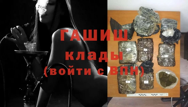 прущие грибы Пестово