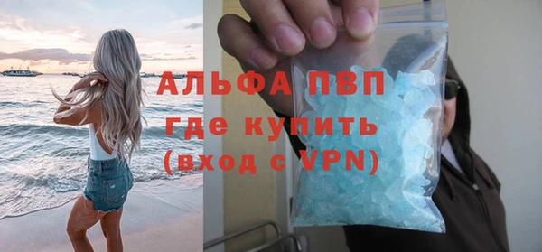 прущие грибы Пестово