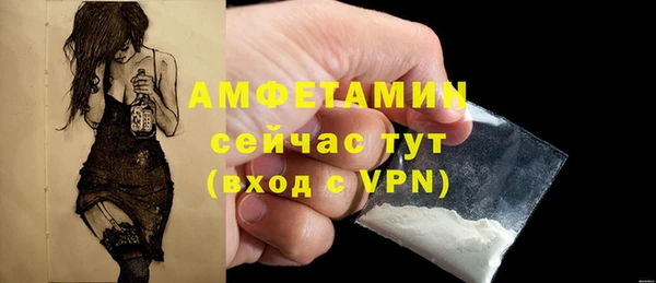 прущие грибы Пестово