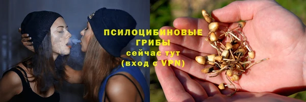 крисы Пересвет