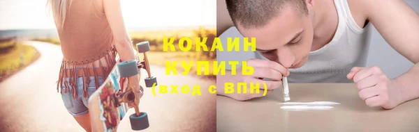 прущие грибы Пестово