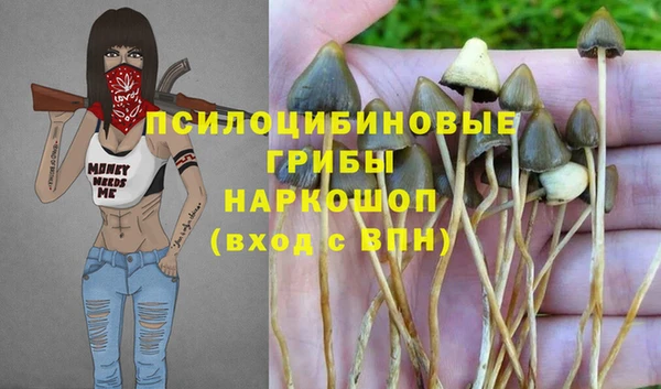 крисы Пересвет