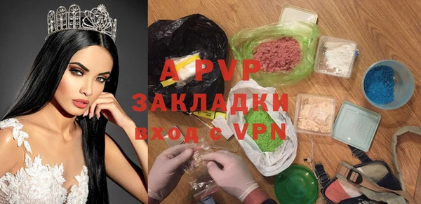 прущие грибы Пестово
