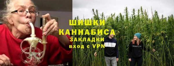 прущие грибы Пестово