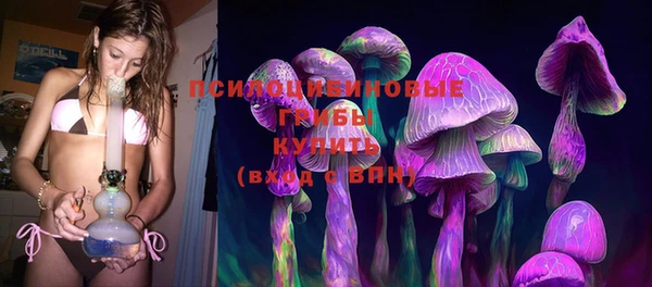 крисы Пересвет