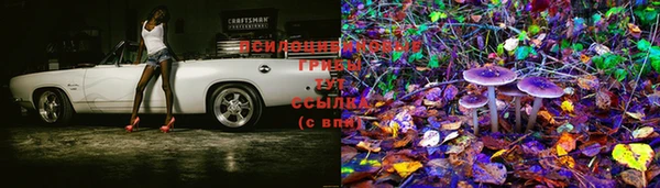 крисы Пересвет