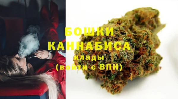 крисы Пересвет
