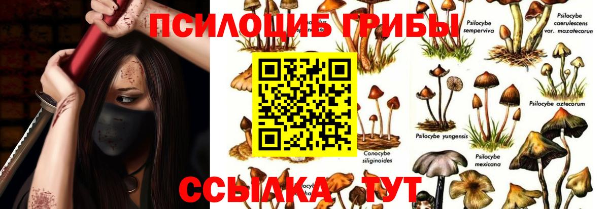 Галлюциногенные грибы Magic Shrooms  Вход с VPN  Богданович 