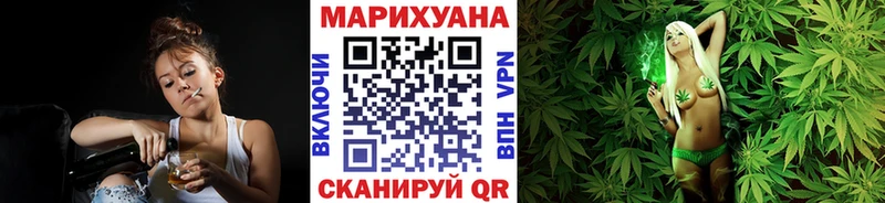Каннабис семена  Богданович 