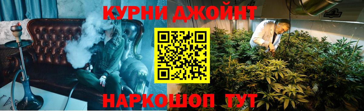 МАРИХУАНА планчик Богданович